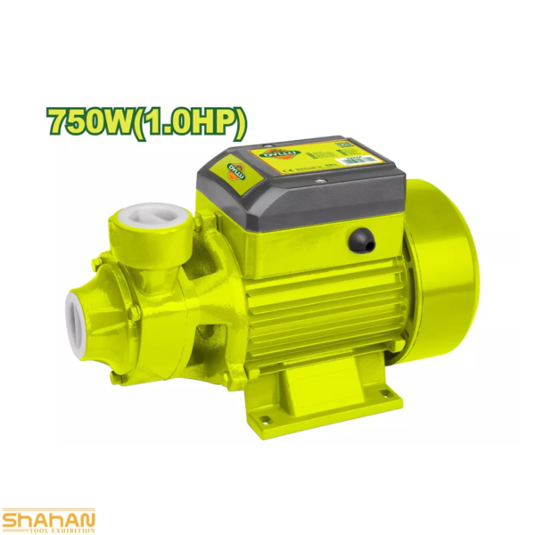 پمپ آب 1 اینچ 1 اسب بخار دایلو مدل DTWPVA03 - تصویر 2
